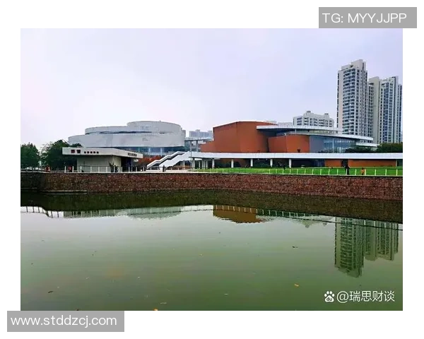 杭州乒乓球队的崛起之路：从默默无闻到全国瞩目的成长历程